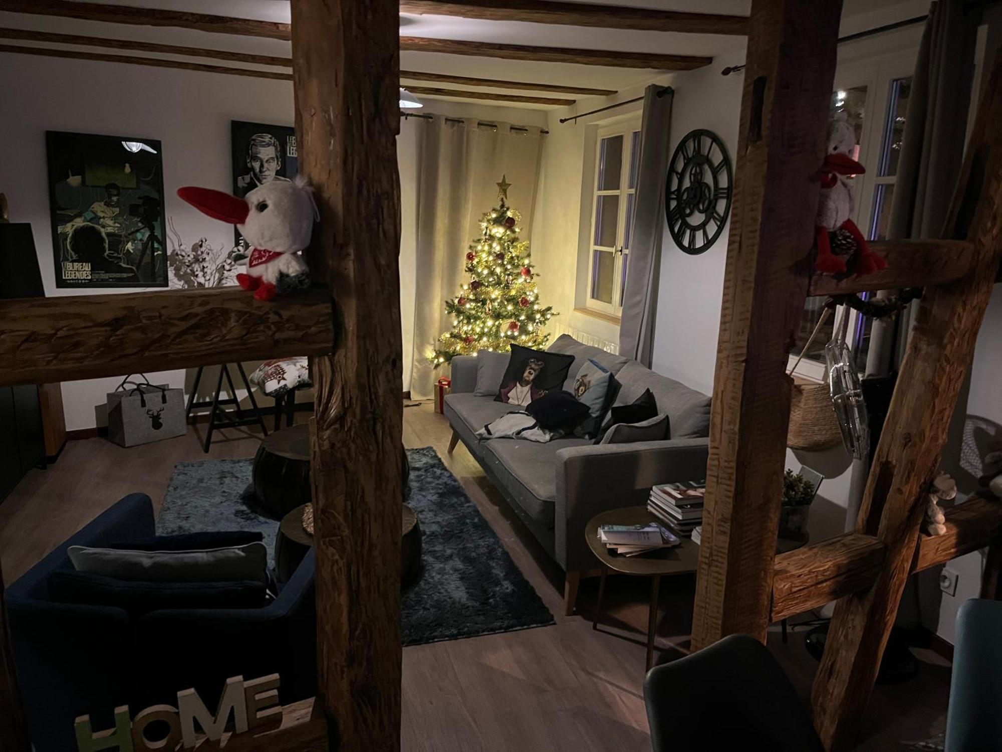Appartement Le Schdorky à Colmar Extérieur photo